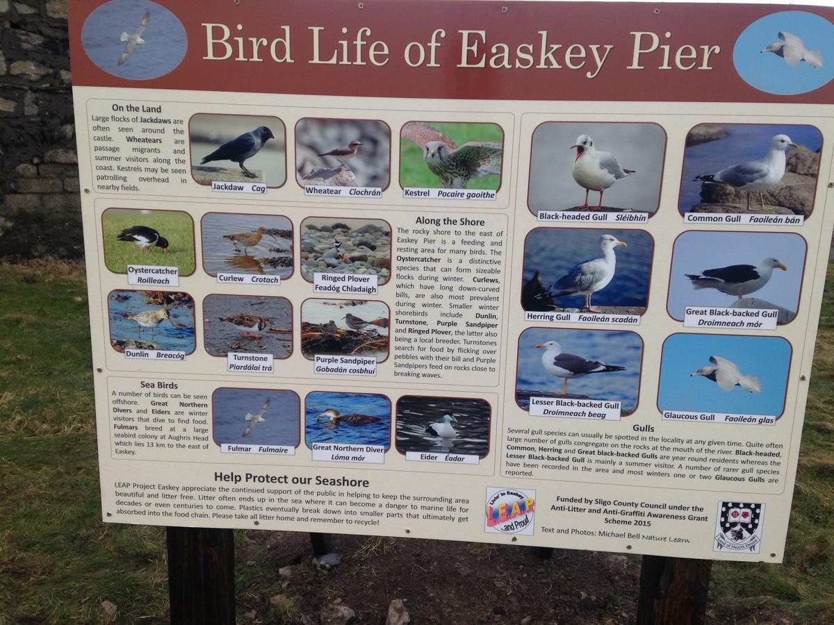 Easkey Atlantic 'N' Riverside B&B المظهر الخارجي الصورة